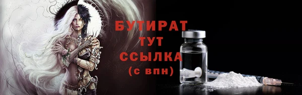 твердый Бердск