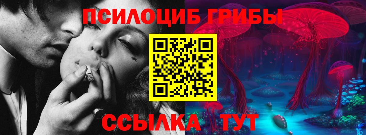 Галлюциногенные грибы GOLDEN TEACHER Ханты-Мансийск